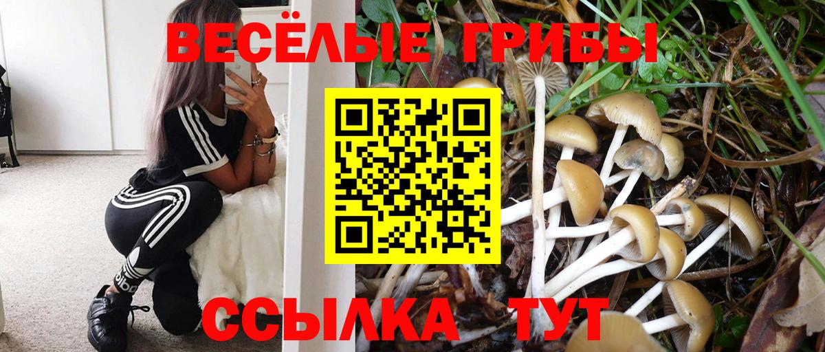 Галлюциногенные грибы Cubensis Анжеро-Судженск
