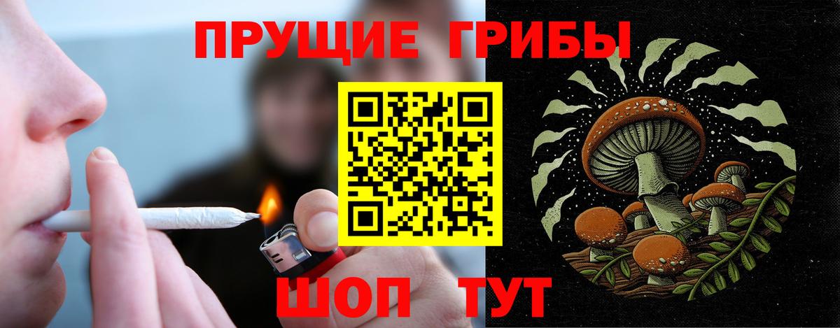 Галлюциногенные грибы Psilocybe  Вход с VPN  Анжеро-Судженск  Псилоцибиновые грибы Psilocybine cubensis 
